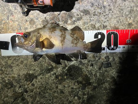 とりあえずリミットメイク