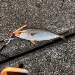 なんとか一つ目