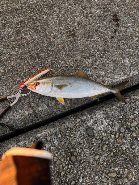 なんとか一つ目