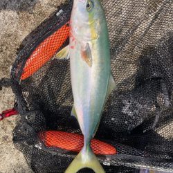 2024ライトゲーム第16戦