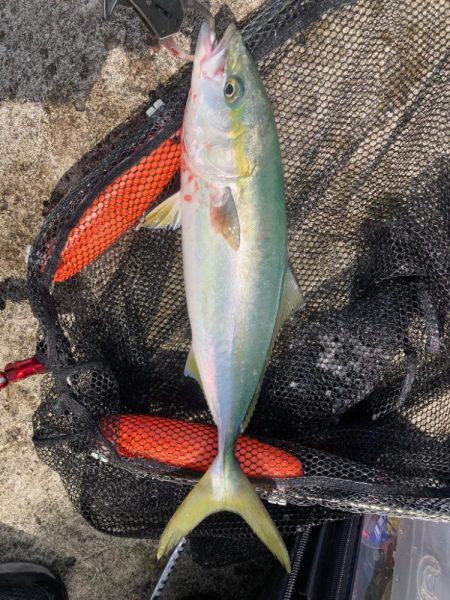 2024ライトゲーム第16戦