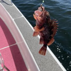 ポイントによりけり