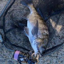 ゴミがいっぱいだけど釣れる