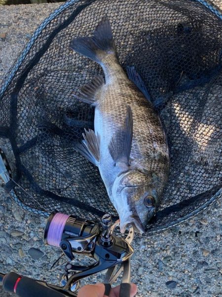 ゴミがいっぱいだけど釣れる