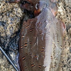 唯一のあたりで！