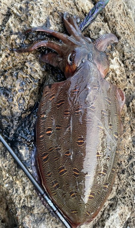 唯一のあたりで！