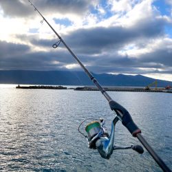 爆風の朝マズメ