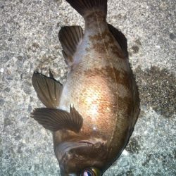 2024ライトゲーム第18戦