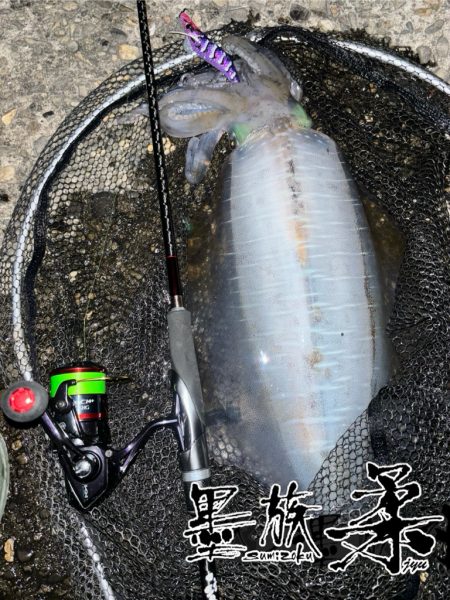 今月最初の釣行