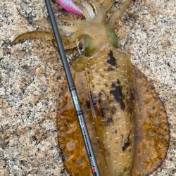 やっと春^_^来ました〜！