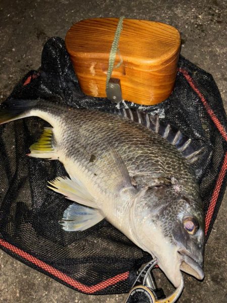 ヘチってきました