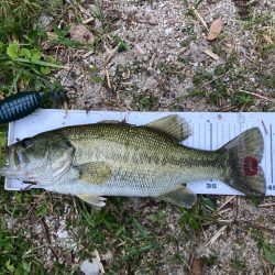 夕まずめのブルフラット