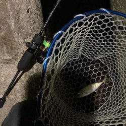 久しぶりのりんくう