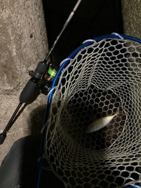 久しぶりのりんくう