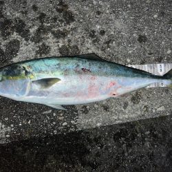 Gw★毎年恒例四国遠征!!!!!!!!!!