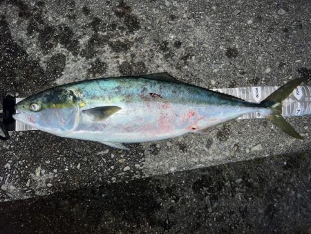 Gw★毎年恒例四国遠征!!!!!!!!!!