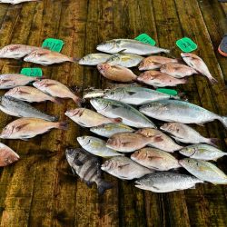 あなたに逢い鯛釣り堀　