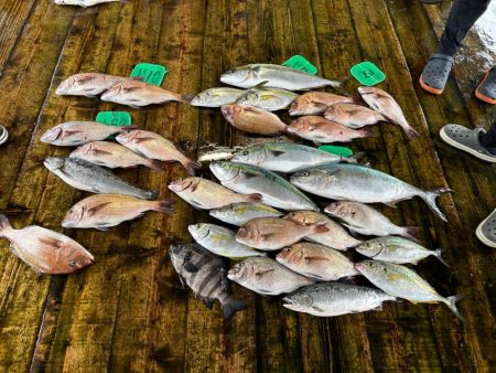 あなたに逢い鯛釣り堀　