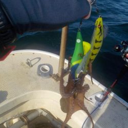 船タコ第2戦〜盛和丸 数釣り〜