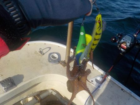 船タコ第2戦〜盛和丸 数釣り〜