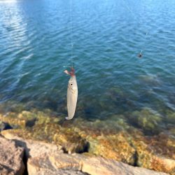 まだ少し早いキス釣り