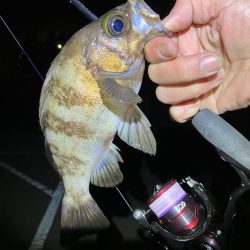 メバリングイベントだとー?