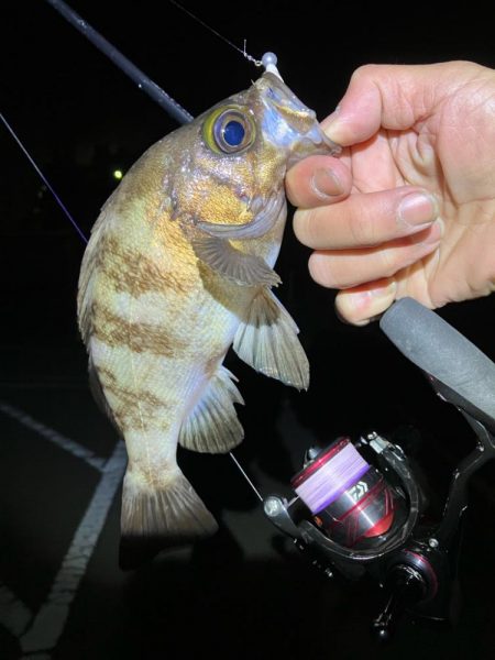 メバリングイベントだとー?