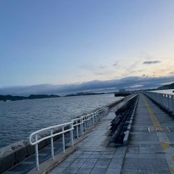 ショアジギング