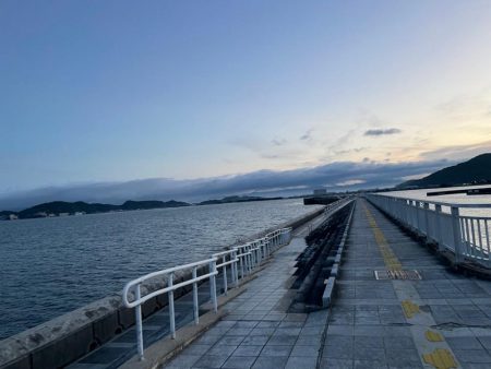 ショアジギング