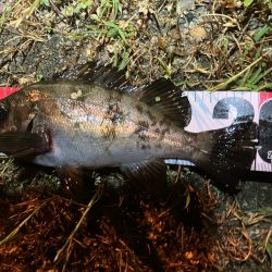 サイズ入れ替え