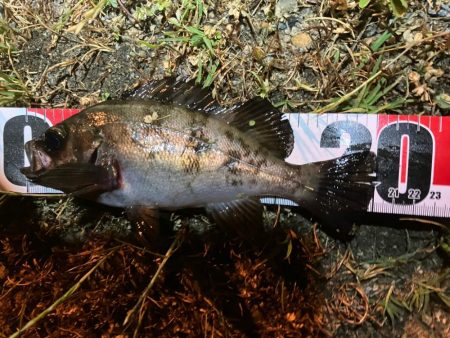 サイズ入れ替え