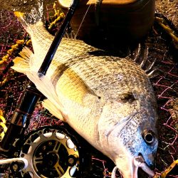 ヘチってきました