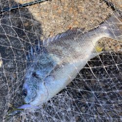 ⭐️久しぶり手応え