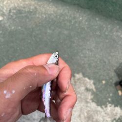 短時間お土産釣り