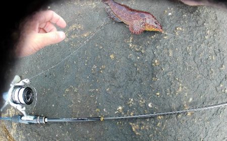 旅先穴釣りアイナメゲット