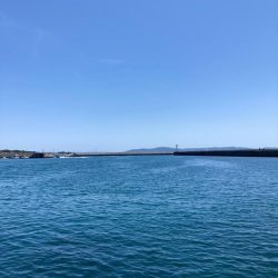 爆風東二見釣行！