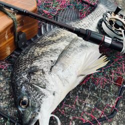 ヘチってきました