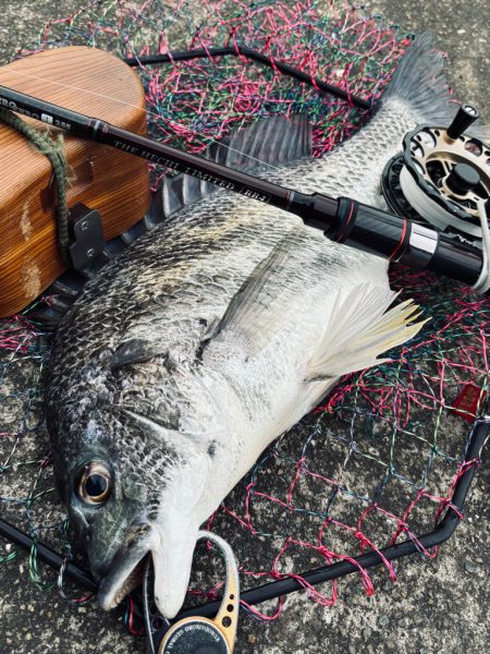 ヘチってきました