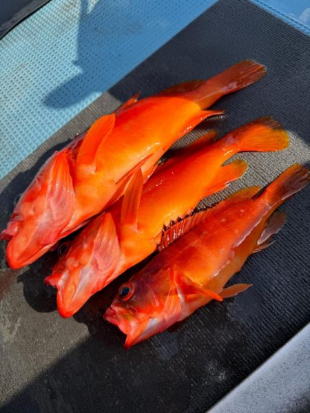 ガチンコ仕掛けでロック＆フラットへ