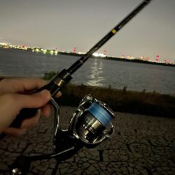 淀川ブリームゲーム