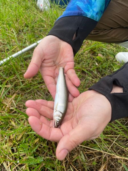 小鮎釣り