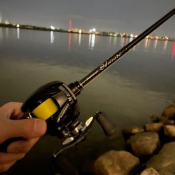 淀川ブリームゲーム