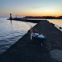 キス、アジ釣り、五目釣り