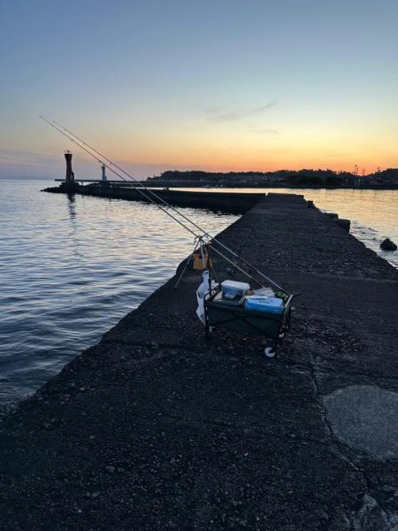 キス、アジ釣り、五目釣り