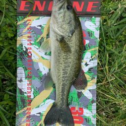 連続のバラし!なんとか一匹