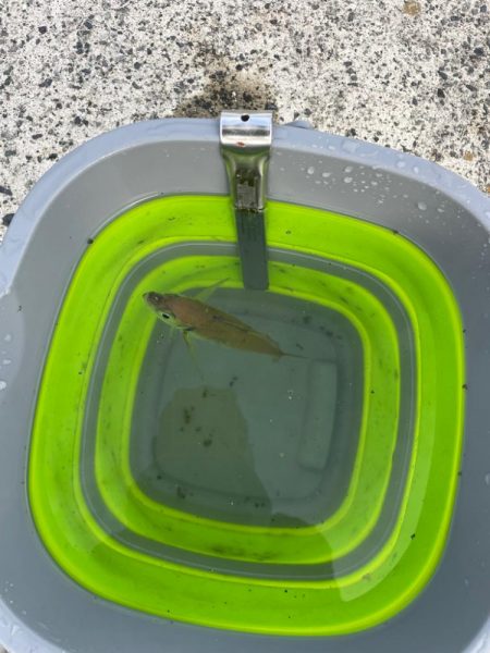 久しぶりのアオリイカ遠征‼️