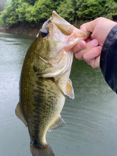 午前中ボート釣行！