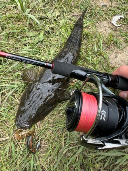 チニングならぬマゴチング