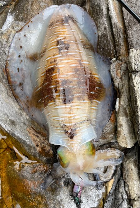 その時が来た！