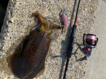 春🦑2杯目GET (^.^)